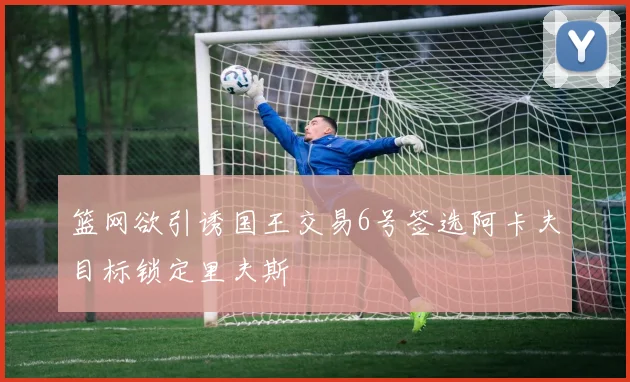 篮网欲引诱国王交易6号签选阿卡夫目标锁定里夫斯
