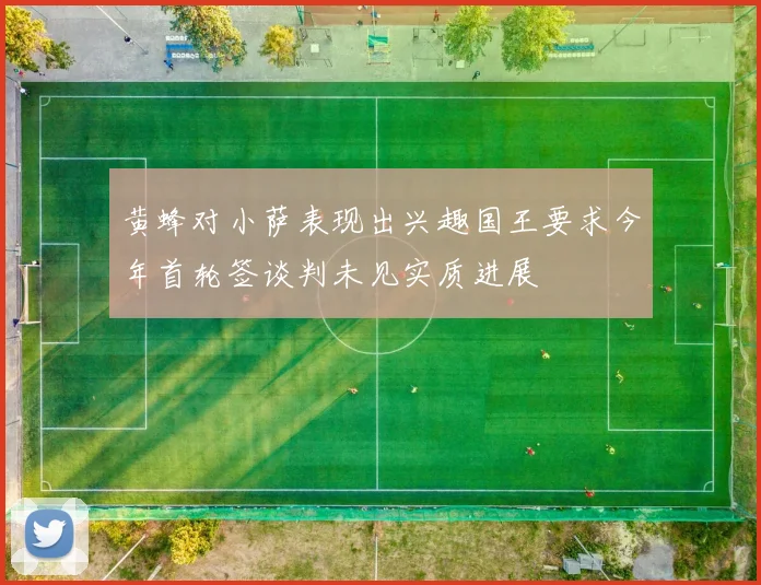 黄蜂对小萨表现出兴趣国王要求今年首轮签谈判未见实质进展