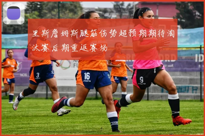 里斯詹姆斯腿筋伤势超预期期待淘汰赛后期重返赛场